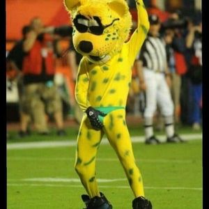 Meet your Posher, Jerome